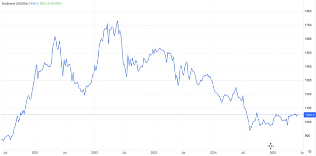 QNS – Tiếp tục tăng trưởng (Kỳ 1)