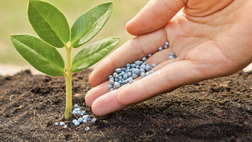 Căng thẳng Trung Đông đẩy giá phân bón tăng, CTCK gọi tên 2 cp có tiềm năng tăng mạnh