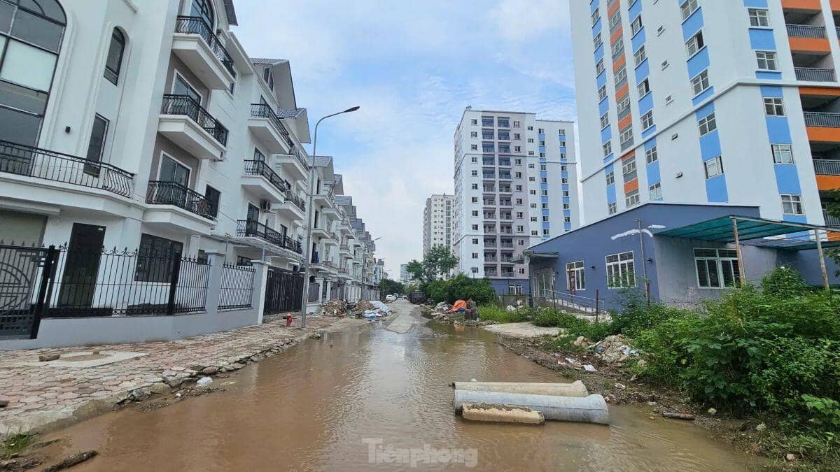 Chi 40 tỷ đồng cải tạo khu tái định cư bỏ hoang nhiều năm trên đất vàng Hà Nội ảnh 12