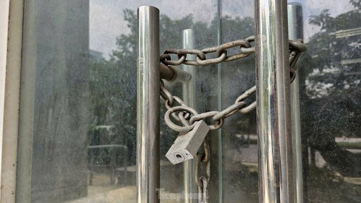 Chi 40 tỷ đồng cải tạo khu tái định cư bỏ hoang nhiều năm trên đất vàng Hà Nội ảnh 13
