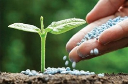 Sau giá dầu, nhóm phân bón – hóa chất chuyển tiếp tới câu chuyện chính sách thuế