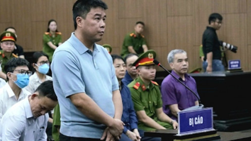 Bị cáo Nguyễn Văn Hậu xin được bán 196 bất động sản để khắc phục hậu quả