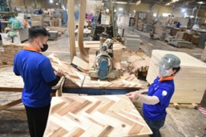 Doanh nghiệp gỗ đầu tiên báo lãi 6 tháng thấp kỷ lục, biên lợi nhuận tiếp tục mỏng