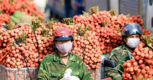 Nông sản Việt đang ở đâu?