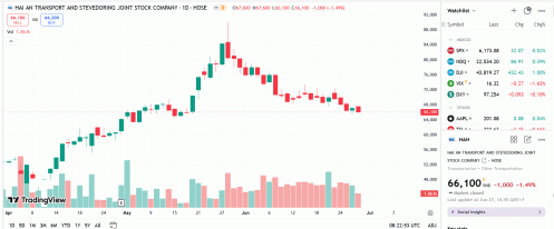 HAH nói gì về việc VSC nâng sở hữu lên hơn 15%