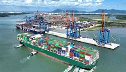 Gemadept chốt cổ tức tiền mặt 20%, dự chi hơn 840 tỷ giữa biến động thương mại