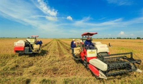 Trung An kỳ vọng gỡ hạn chế giao dịch cổ phiếu trong 2025, chờ xử lý vướng mắc kiểm toán