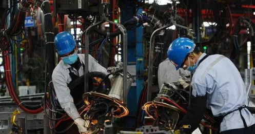 Doanh nghiệp châu Âu phàn nàn về 'rào cản' thủ tục hành chính