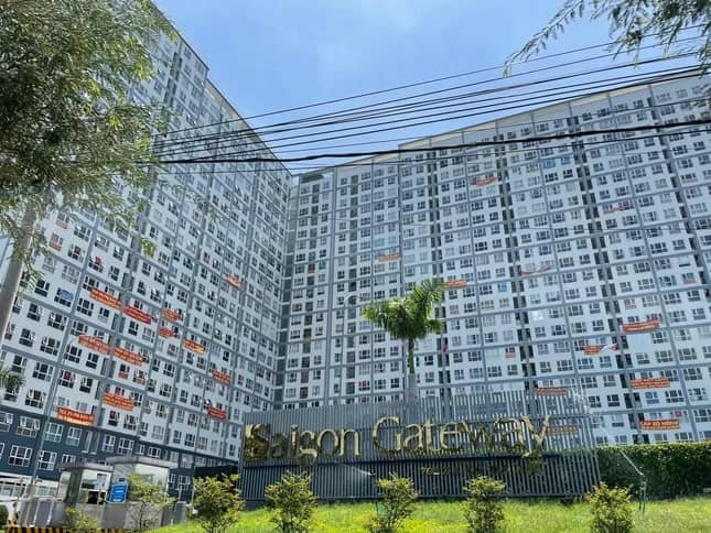Nguyên nhân nhiều chung cư ở TPHCM vướng tranh chấp ảnh 2