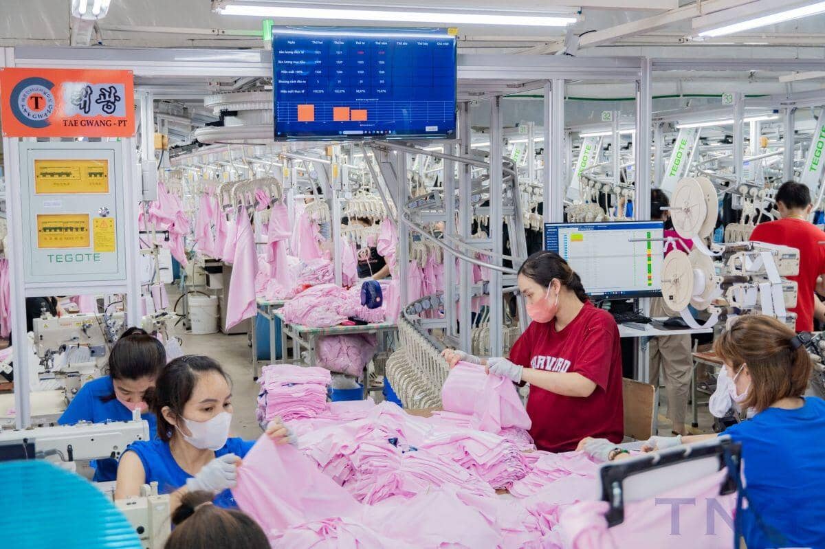 TNG báo doanh thu nửa đầu năm vượt 4,000 tỷ, cổ phiếu phục hồi 54% từ đáy