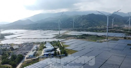 Cựu cục phó cục thuế bị khởi tố vì không truy thu 73 tỷ đồng của 2 doanh nghiệp điện mặt trời