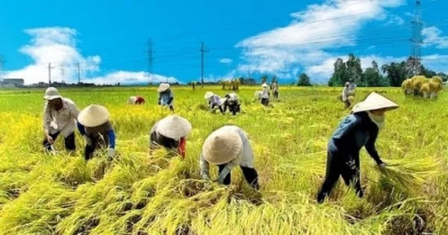 Đưa nông sản Việt vượt bão thuế, hướng tới kim ngạch 65 tỷ USD