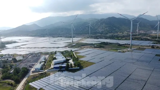 Cựu cục phó cục thuế bị khởi tố vì không truy thu 73 tỷ đồng của 2 doanh nghiệp điện mặt trời