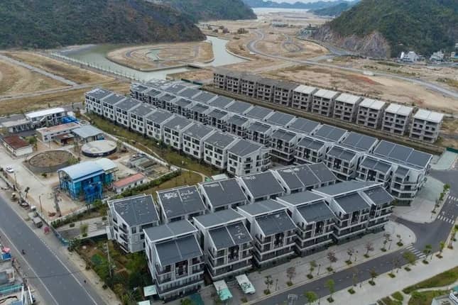 Vinaconex muốn thoái toàn bộ vốn tại Cát Bà Amatina, dự thu hơn 5.000 tỷ đồng