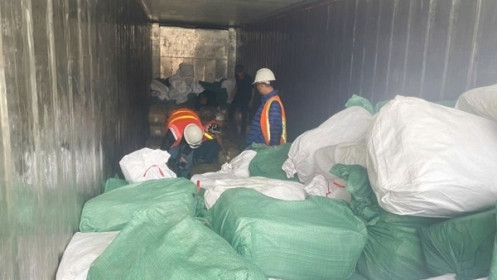 Khởi tố vụ án xuất khống 1.400 tấn chân gà đông lạnh, dấu hiệu trốn thuế 7 tỷ đồng