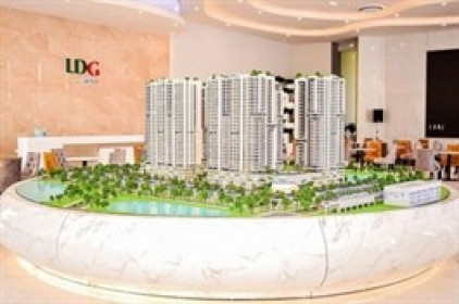 Cổ phiếu tăng trần 5 phiên, LDG nói do “triển vọng kinh doanh”