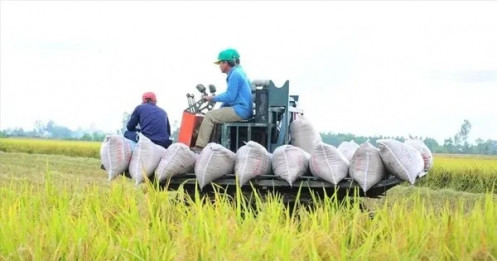 Việt Nam thu về 33,8 tỷ USD từ xuất khẩu nông sản, giao thương với Mỹ tăng mạnh