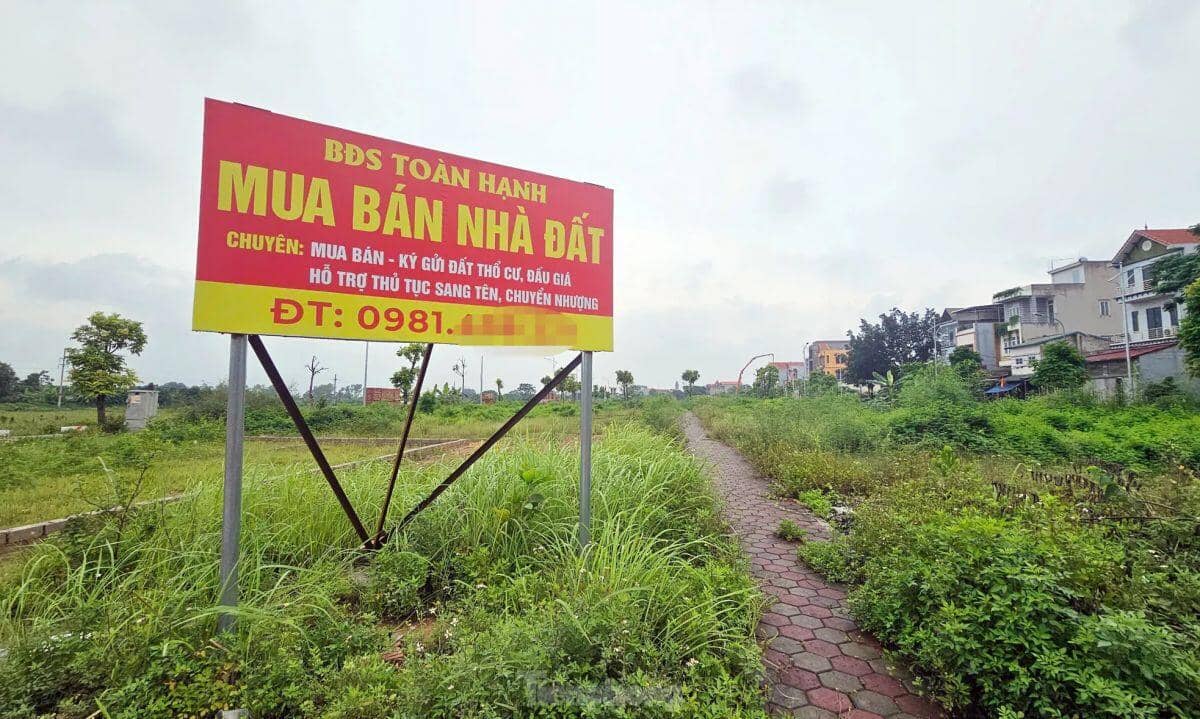 Hà Nội: Rầm rộ đấu giá đất rồi... bỏ hoang lãng phí