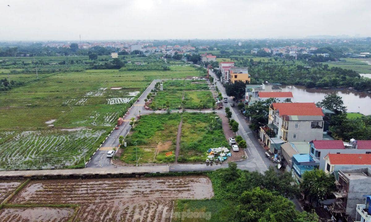 Hà Nội: Rầm rộ đấu giá đất rồi... bỏ hoang lãng phí