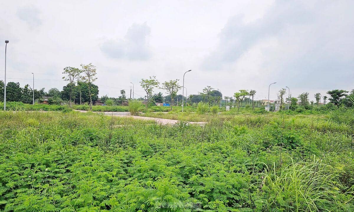 Hà Nội: Rầm rộ đấu giá đất rồi... bỏ hoang lãng phí