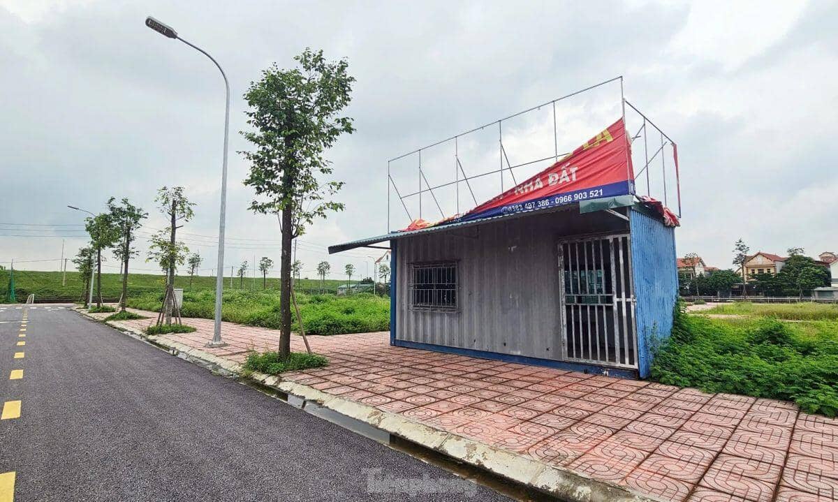 Hà Nội: Rầm rộ đấu giá đất rồi... bỏ hoang lãng phí