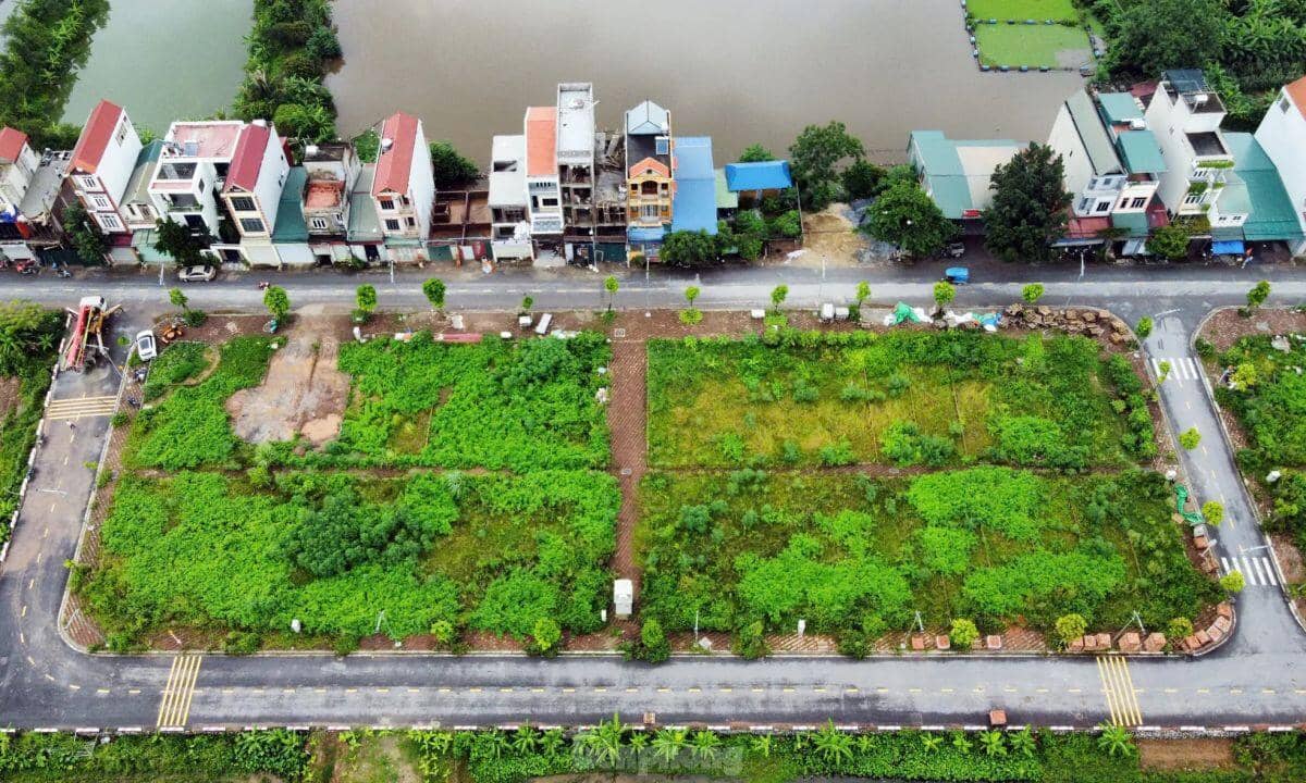 Hà Nội: Rầm rộ đấu giá đất rồi... bỏ hoang lãng phí