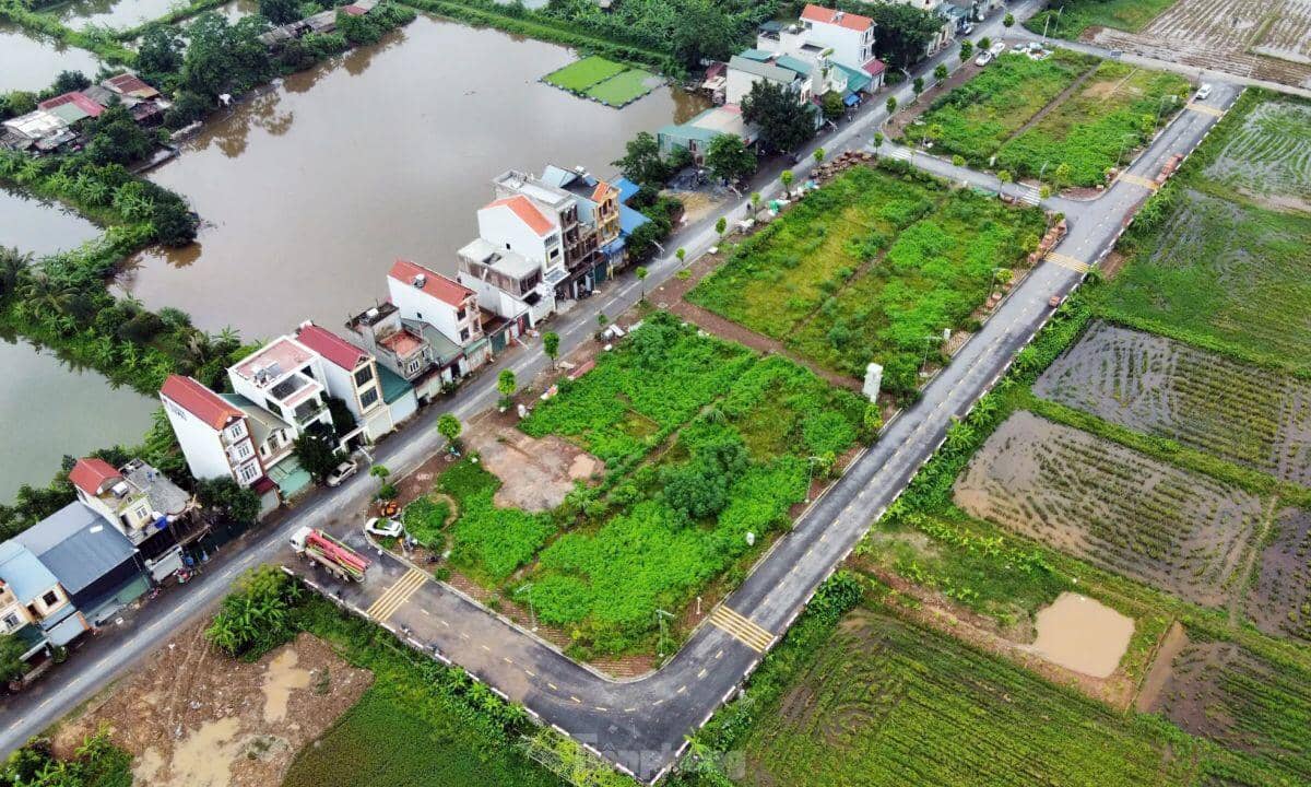 Hà Nội: Rầm rộ đấu giá đất rồi... bỏ hoang lãng phí