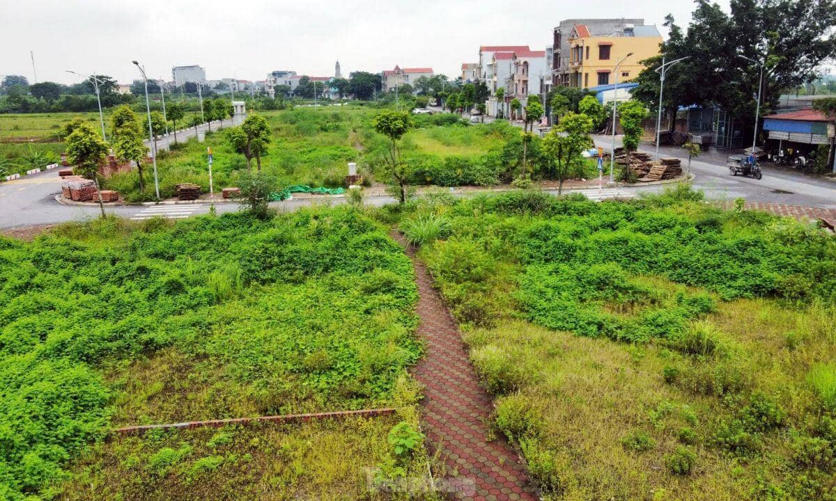 Hà Nội: Rầm rộ đấu giá đất rồi... bỏ hoang lãng phí