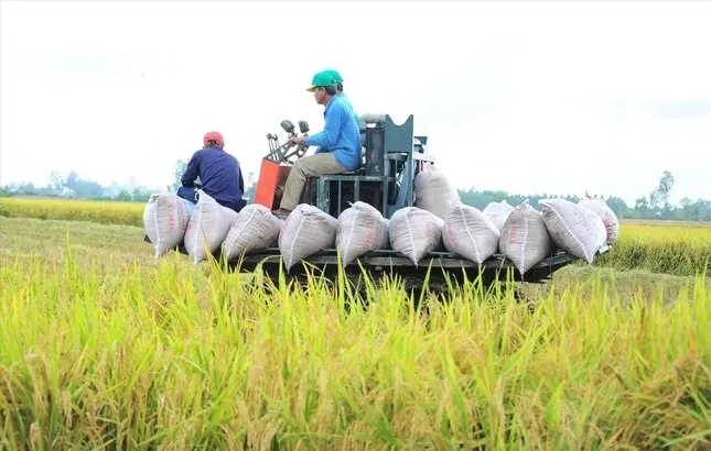 Việt Nam thu về 33,8 tỷ USD từ xuất khẩu nông sản, giao thương với Mỹ tăng mạnh