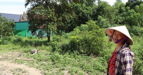 Vụ nộp gần 4,5 tỷ tiền thuế chuyển đổi đất vườn: Khu đất được áp giá bằng 60% bảng giá đất