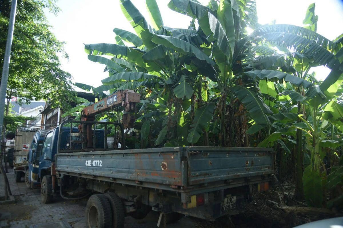 Cận cảnh các khu 'đất vàng' liên quan Công ty Lương thực Đà Nẵng chuyển hồ sơ qua cơ quan điều tra