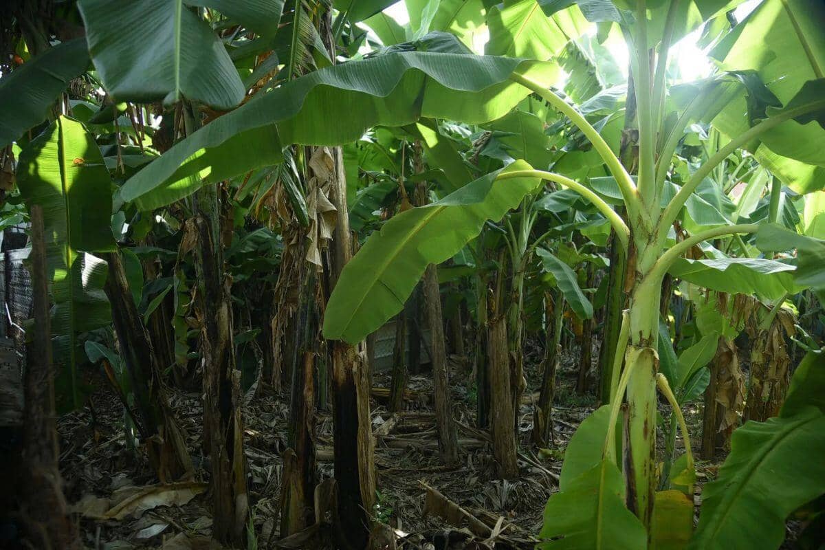 Cận cảnh các khu 'đất vàng' liên quan Công ty Lương thực Đà Nẵng chuyển hồ sơ qua cơ quan điều tra