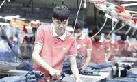 Việt Nam xuất siêu 7,6 tỷ USD