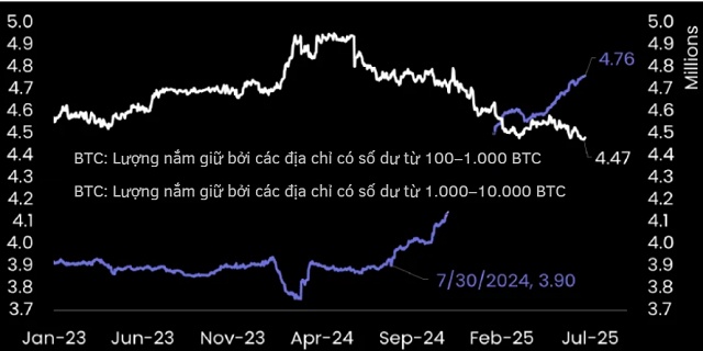 Sự dịch chuyển quyền lực khi các “cá mập” xả 500,000 Bitcoin
