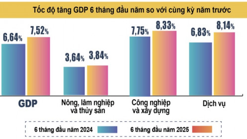 GDP 6 tháng đầu năm 2025: Tăng trưởng ngoạn mục ngược dòng thách thức toàn cầu