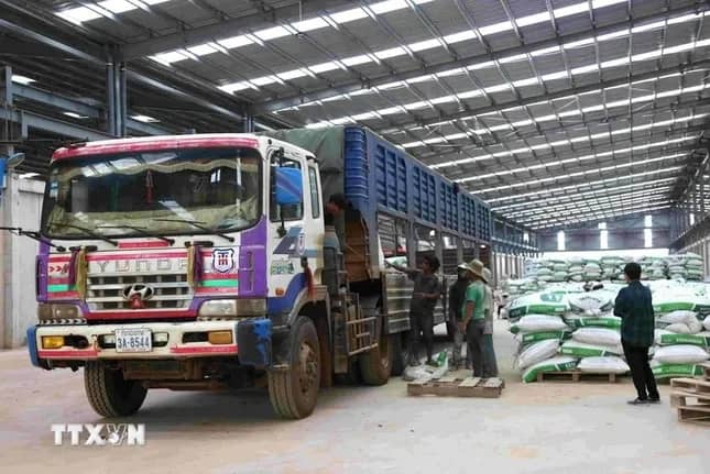Doanh nghiệp xuất sang Trung Quốc bị từ chối thông quan do sáp nhập tỉnh, huyện, xử lý thế nào?