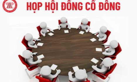 Chưa họp đạo hội cổ đông, BCG và TCD vào diện cảnh báo