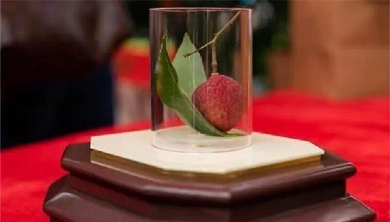 Điều ít biết về loại vải đắt nhất thế giới, giá một quả gần 2 tỷ đồng