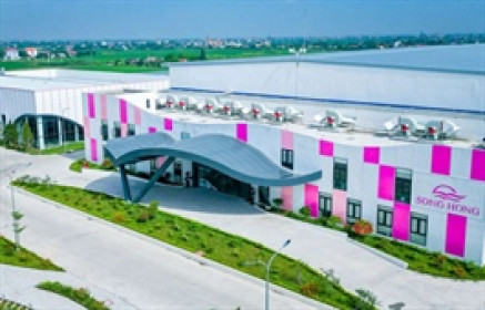 FPTS chỉ bán hơn nửa lượng cổ phiếu MSH đăng ký do diễn biến giá không phù hợp