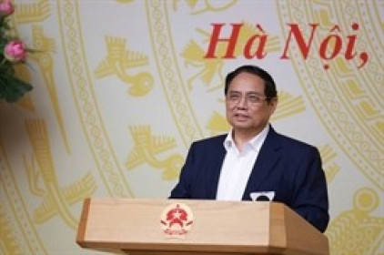 Thủ tướng: Nghiên cứu đề xuất điều chỉnh, bổ sung chính sách, pháp luật về đất đai
