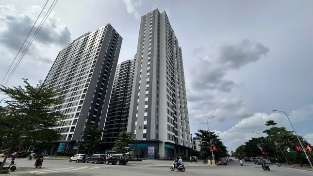 Dự báo nguy cơ thừa nguồn cung bất động sản nhưng giá vẫn cao ảnh 1