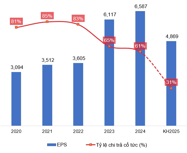 QNS - Nền tảng vững vàng, cổ phiếu hấp dẫn cho dài hạn (Kỳ 2)