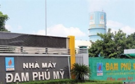 DPM sắp chia cổ tức tiền mặt và thưởng cổ phiếu tổng tỷ lệ gần 89%