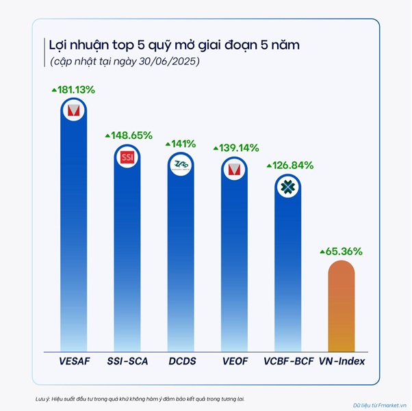 Các quỹ mở đạt lợi nhuận ra sao trong 6 tháng đầu năm 2025?