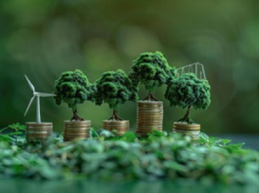 Trái phiếu xanh tại Mỹ bị chi phối bởi doanh nghiệp nước ngoài