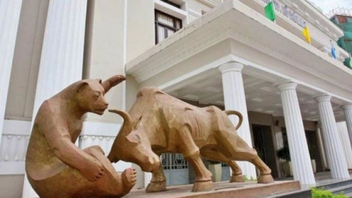 Hơn 40 doanh nghiệp có vốn hóa trên 1 tỷ USD