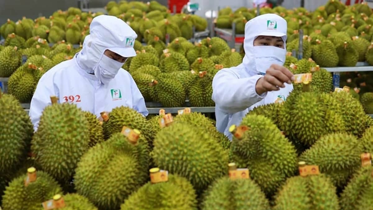 Giữ vững “tay lái” vĩ mô: 6 tháng đầu năm tăng trưởng trong thế trận khó