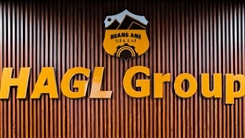 HAG bổ sung nội dung lấy ý kiến cổ đông