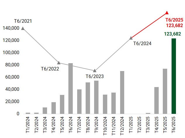 Trái phiếu riêng lẻ tháng 6/2025 bùng nổ với 123 ngàn tỷ đổ vào thị trường