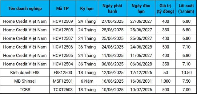 Trái phiếu riêng lẻ tháng 6/2025 bùng nổ với 123 ngàn tỷ đổ vào thị trường